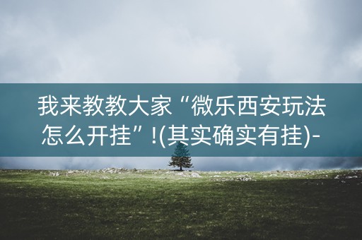 我来教教大家“微乐西安玩法怎么开挂”!(其实确实有挂)-知乎
