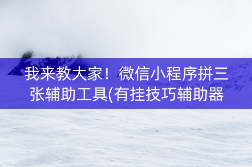 我来教大家！微信小程序拼三张辅助工具(有挂技巧辅助器)