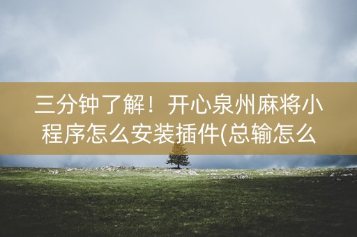 三分钟了解！开心泉州麻将小程序怎么安装插件(总输怎么回事)
