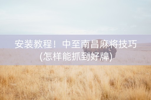 安装教程！中至南昌麻将技巧(怎样能抓到好牌)