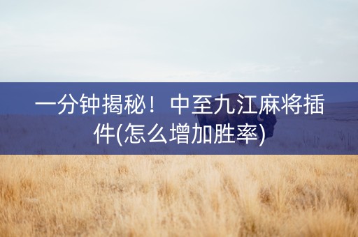 一分钟揭秘！中至九江麻将插件(怎么增加胜率)