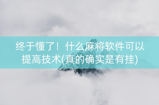 终于懂了！什么麻将软件可以提高技术(真的确实是有挂)