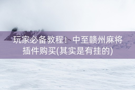 玩家必备教程！中至赣州麻将插件购买(其实是有挂的)