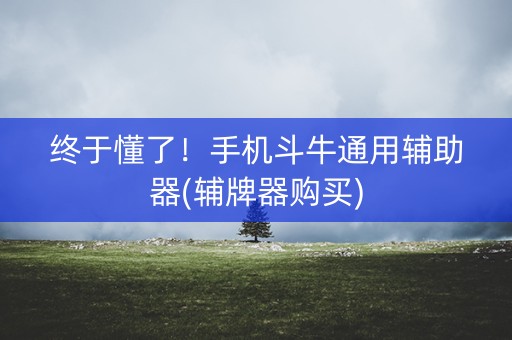 终于懂了！手机斗牛通用辅助器(辅牌器购买)
