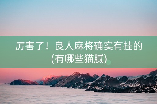 厉害了！良人麻将确实有挂的(有哪些猫腻)