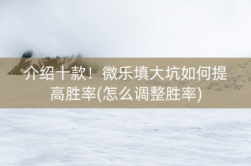 介绍十款！微乐填大坑如何提高胜率(怎么调整胜率)