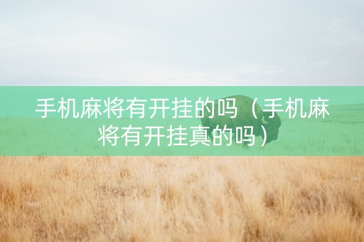 手机麻将有开挂的吗（手机麻将有开挂真的吗）