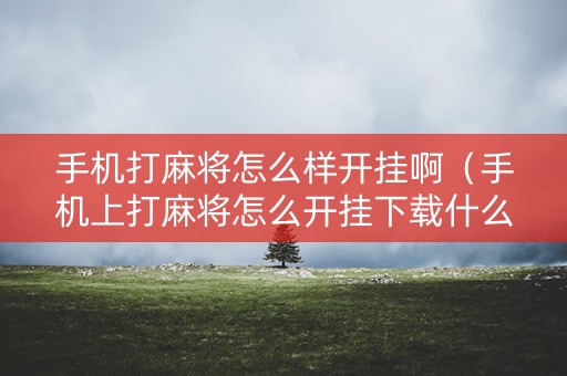 手机打麻将怎么样开挂啊（手机上打麻将怎么开挂下载什么软件）