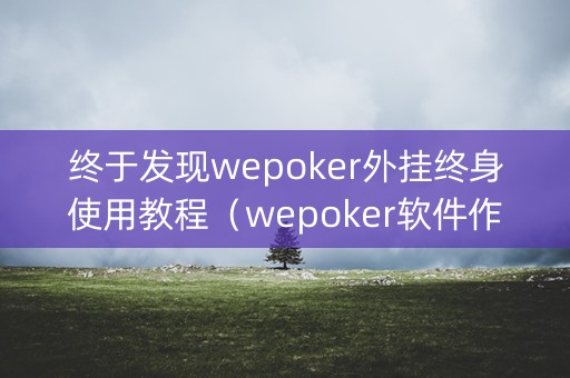 终于发现wepoker外挂终身使用教程（wepoker软件作弊操作全过程辅助原来这么简单）