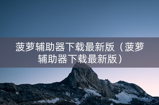菠萝辅助器下载最新版（菠萝辅助器下载最新版）