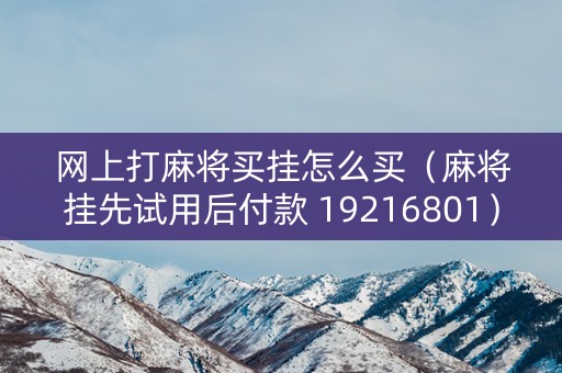 网上打麻将买挂怎么买（麻将挂先试用后付款 19216801）
