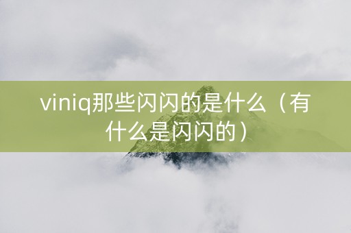 viniq那些闪闪的是什么（有什么是闪闪的）