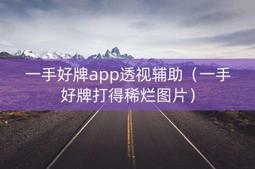 一手好牌app透视辅助（一手好牌打得稀烂图片）