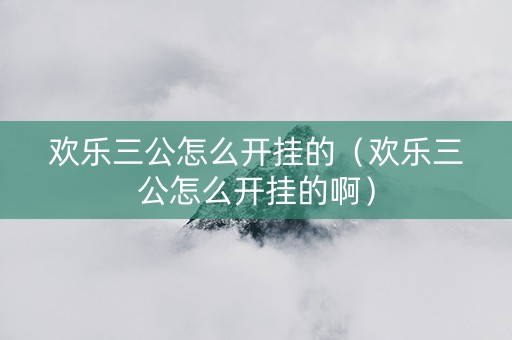 欢乐三公怎么开挂的（欢乐三公怎么开挂的啊）