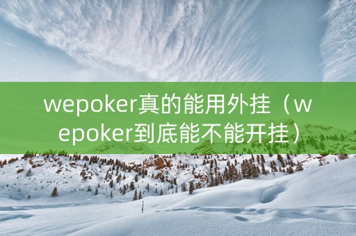 wepoker真的能用外挂（wepoker到底能不能开挂）