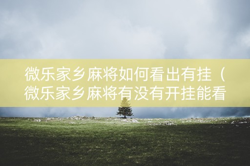 微乐家乡麻将如何看出有挂（微乐家乡麻将有没有开挂能看出来吗）