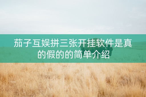 茄子互娱拼三张开挂软件是真的假的的简单介绍