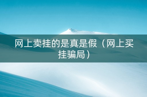 网上卖挂的是真是假（网上买挂骗局）
