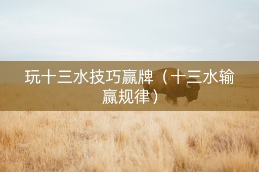 玩十三水技巧赢牌（十三水输赢规律）