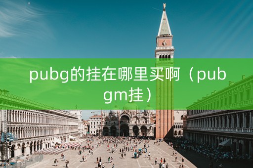 pubg的挂在哪里买啊（pubgm挂）