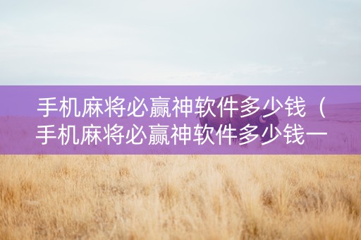 手机麻将必赢神软件多少钱（手机麻将必赢神软件多少钱一个）