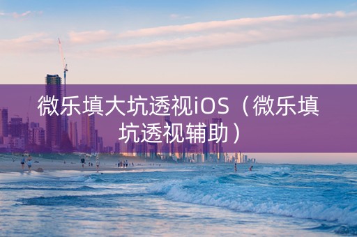 微乐填大坑透视iOS（微乐填坑透视辅助）
