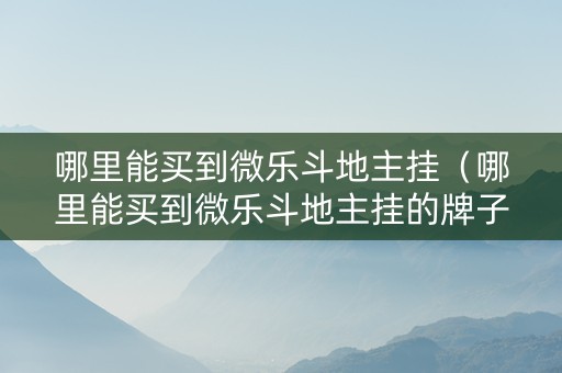 哪里能买到微乐斗地主挂（哪里能买到微乐斗地主挂的牌子）
