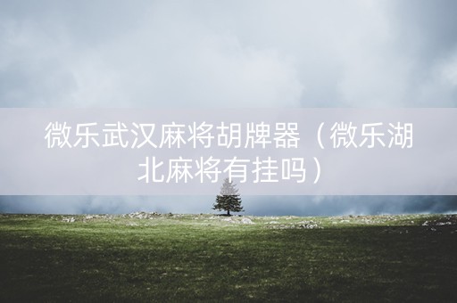 微乐武汉麻将胡牌器（微乐湖北麻将有挂吗）