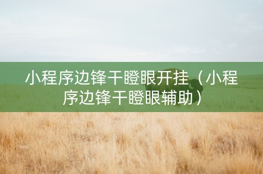 小程序边锋干瞪眼开挂（小程序边锋干瞪眼辅助）