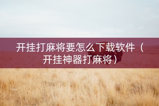 开挂打麻将要怎么下载软件（开挂神器打麻将）