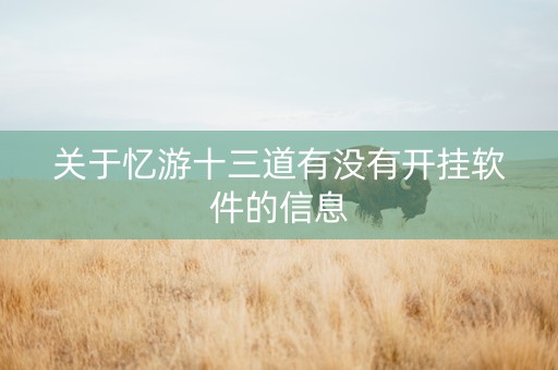 关于忆游十三道有没有开挂软件的信息