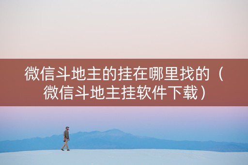 微信斗地主的挂在哪里找的（微信斗地主挂软件下载）