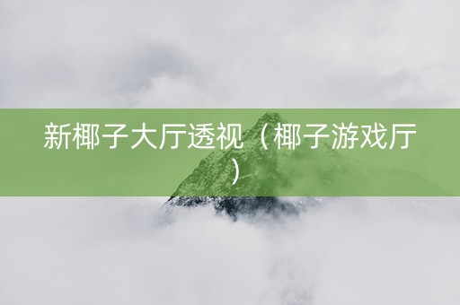新椰子大厅透视（椰子游戏厅）