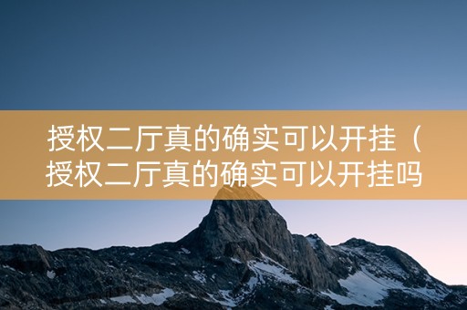 授权二厅真的确实可以开挂（授权二厅真的确实可以开挂吗）