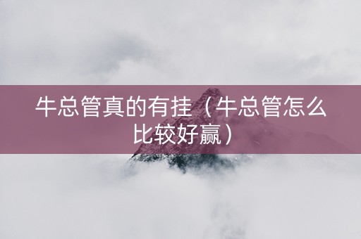 牛总管真的有挂（牛总管怎么比较好赢）