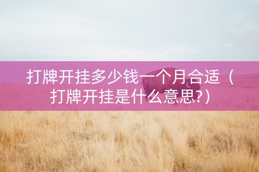 打牌开挂多少钱一个月合适（打牌开挂是什么意思?）