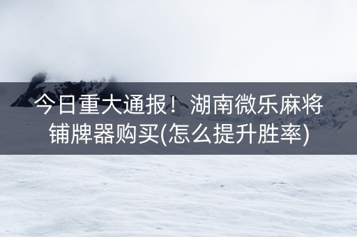 今日重大通报！湖南微乐麻将铺牌器购买(怎么提升胜率)