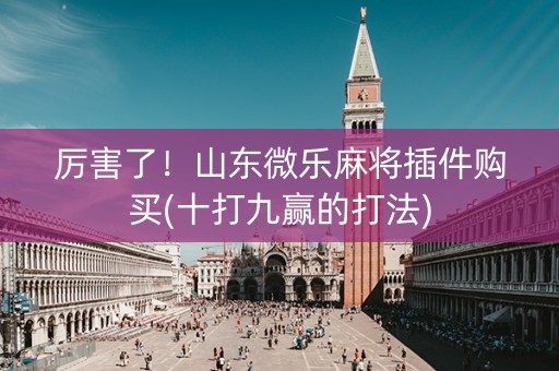 厉害了！山东微乐麻将插件购买(十打九赢的打法)
