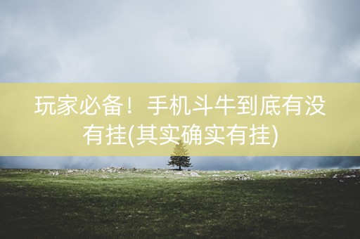 玩家必备！手机斗牛到底有没有挂(其实确实有挂)