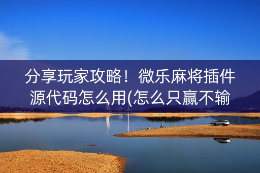 分享玩家攻略！微乐麻将插件源代码怎么用(怎么只赢不输)