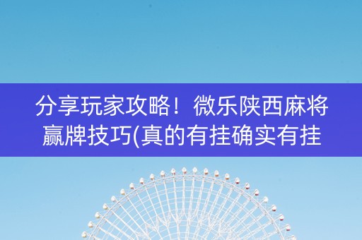 分享玩家攻略！微乐陕西麻将赢牌技巧(真的有挂确实有挂)