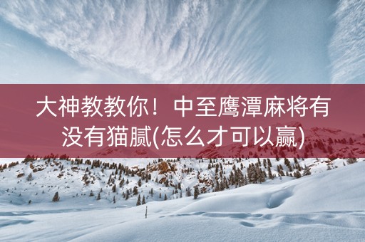 大神教教你！中至鹰潭麻将有没有猫腻(怎么才可以赢)
