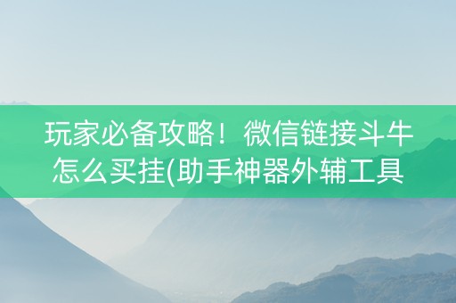 玩家必备攻略！微信链接斗牛怎么买挂(助手神器外辅工具)