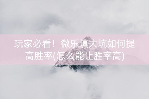 玩家必看！微乐填大坑如何提高胜率(怎么能让胜率高)