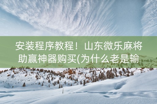 安装程序教程！山东微乐麻将助赢神器购买(为什么老是输呢)