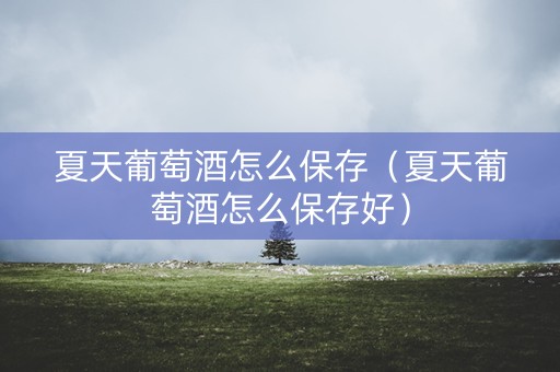 夏天葡萄酒怎么保存（夏天葡萄酒怎么保存好）