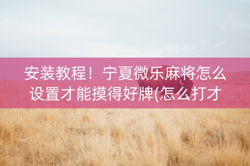 安装教程！宁夏微乐麻将怎么设置才能摸得好牌(怎么打才能赢)