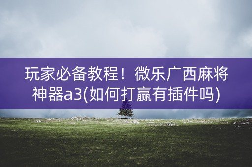 玩家必备教程！微乐广西麻将神器a3(如何打赢有插件吗)