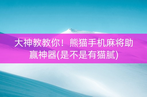 大神教教你！熊猫手机麻将助赢神器(是不是有猫腻)