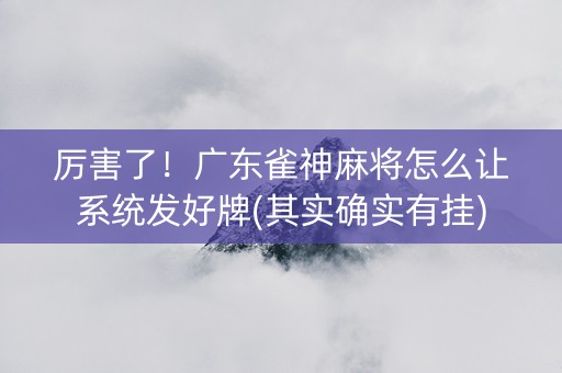 厉害了！广东雀神麻将怎么让系统发好牌(其实确实有挂)